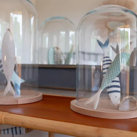 Apartman Precioso Elvira Hills